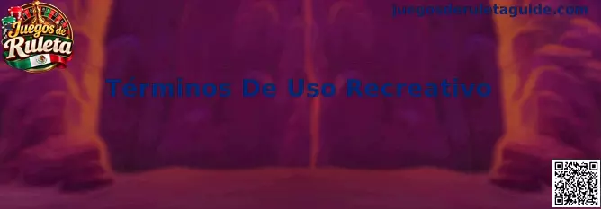 Imagen ilustrativa de los términos de uso recreativo para simuladores de Juegos de Ruleta