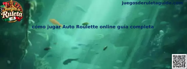 Guía visual de Auto Roulette online y los elementos básicos del tablero de ruleta